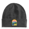 THE NORTH FACE Embroidered Earthscape Beanie NF0A5FW3