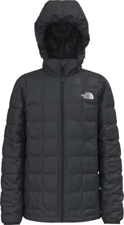 The North Face Thermoball Eco Hoodie - Boys 2022