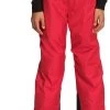 The North Face Freedom Insulated Pant - Boys