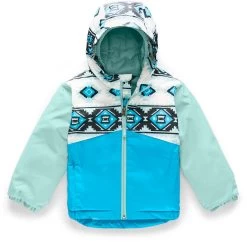 The North Face Snowquest Insulated Ski Jacket - Toddler 2020