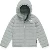 The North Face ThermoBall Hoodie - Toddler 2020