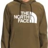 The North Face Tekno Logo Hoodie